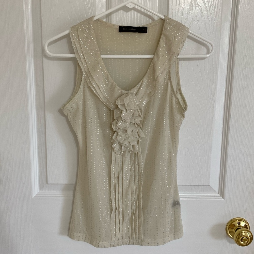 The Limited Sleeveless Sheer Silver Metallic Top